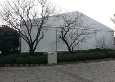 20x30m Clear Span Tent For Wedding Events Aluminum Structure Waterproof