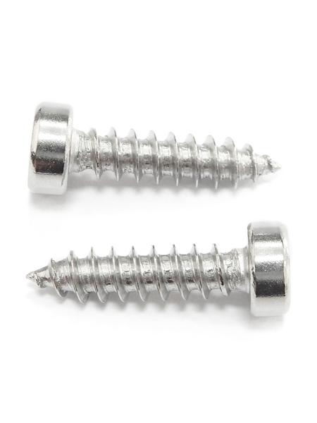 Pan Head Stainless Steel Screws Corrosion Resistant Phillips Head Screw Customized