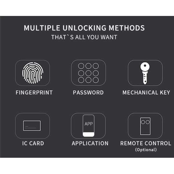 Cerradura de puerta inteligente de la huella dactilar de la entrada de WIFI para la puerta de aluminio