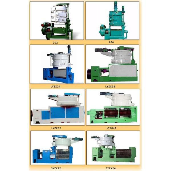 Automatic Grade Automatic Big Capacity Cotton Seed Oil Press Machine Castor Oil Mill Processing Machinery
