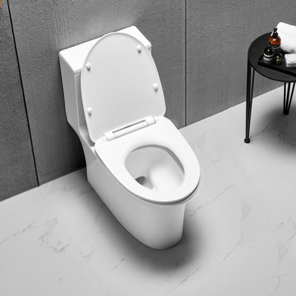 3.5L One Piece Toilets For Bathroom Dual Flush Modern