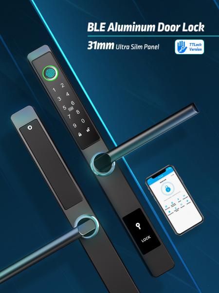 La serrure de porte biométrique d'écran tactile résidentielle avec le scanner d'empreinte digitale, expriment l'invite