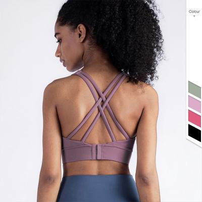 O sutiã sexy Traceless de 7 esportes das mulheres de Nuls das cores curva a parte superior traseira da colheita do amortecedor