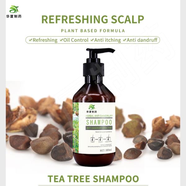 Oil Control Anti Dandruff Anti Itching Tea Tree Anti Hair Loss Shampoo 300ml