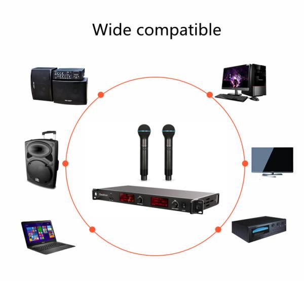 PLL Synthesized Dual UHF Wireless Microphone Vocal Mic Set 30MHz Band Width