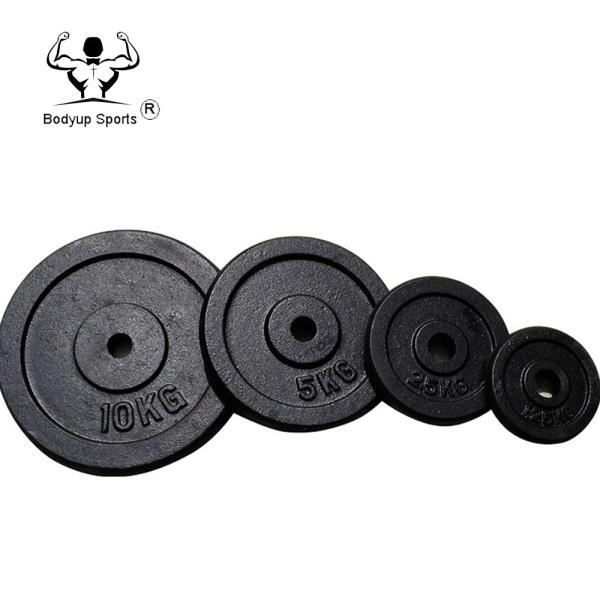 Black Painting Cast Iron Weight lifting weight Plate For Gym