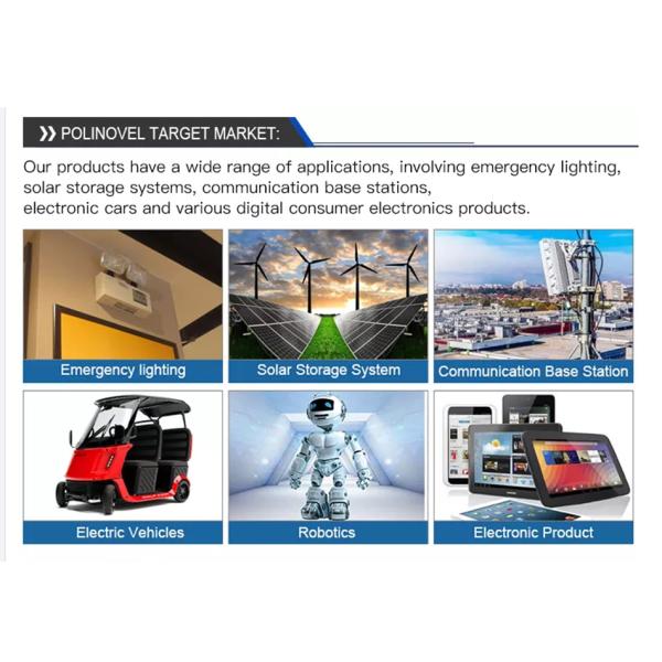 Bateria Lifepo4 solar de Ion Batteries 24cm do lítio do ciclo de ROHS 3000