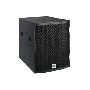 Pro Audio Subwoofer