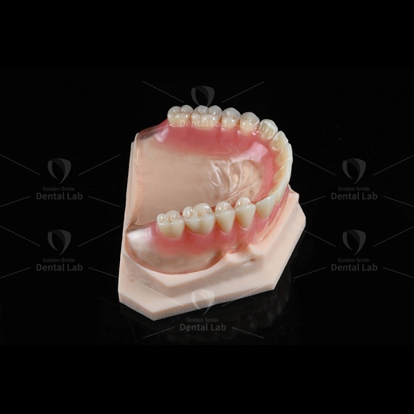 Lightweight Pink Clear Flexible Denture Vertex Flexible Partials