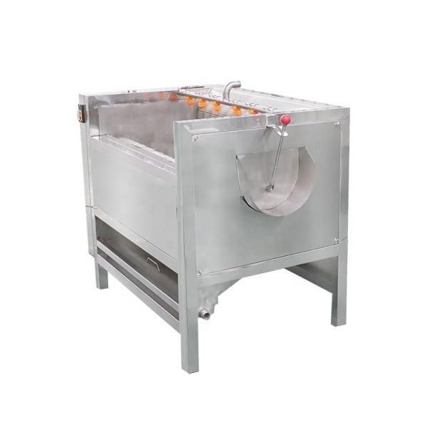 Multi Brush Potato Peelers a Cassava Mussel Cleaning Shrimp Washing Machine Washing and Peeling Vegetables 2 Years CN;HEN SUS304