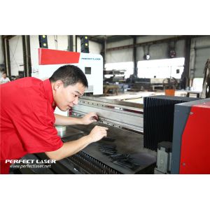 Perfect Laser (Wuhan) Co.,Ltd.