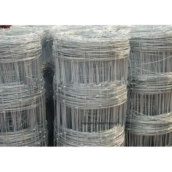 Hot Dipped Galvanized Field Fence , High Tensile Woven Wire Fence Rolls