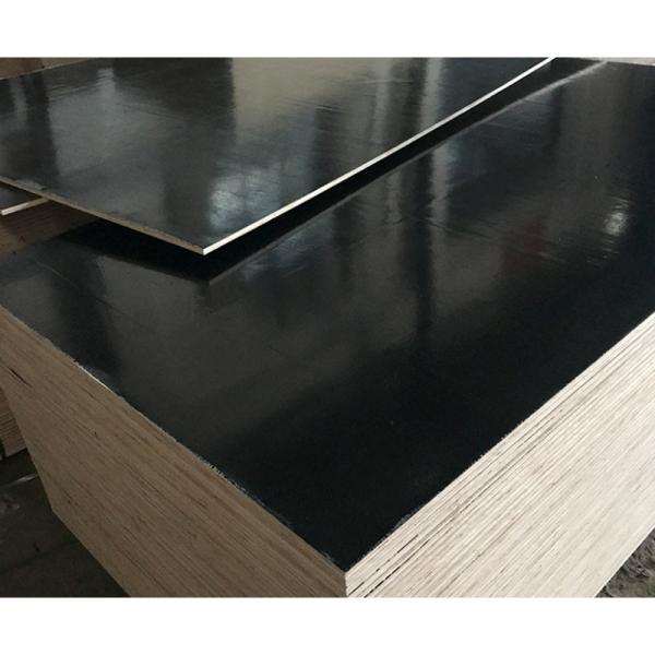 Black Birch Ply 18mm 21mm Birchwood Plywood Template 1250x2550mm