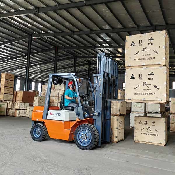 Duplex Mast Gasoline Powered Forklift 3000kgs Warehouse Equipment Forklift