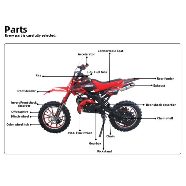 CE Approved 49cc 2 Stroke Kids Orion PCA01 Dirt Bike MAX LOAD 100kg Tires 2.50-10