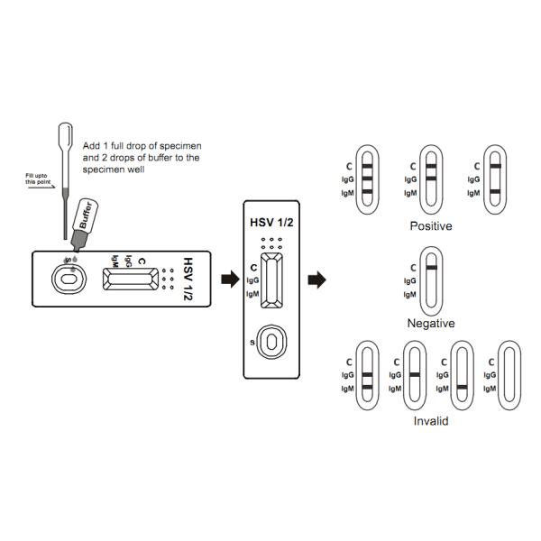 Быстрое золото кассеты набора теста диагностики ХСВ коллоидное обнаруживает антитела ХСВ 1/2