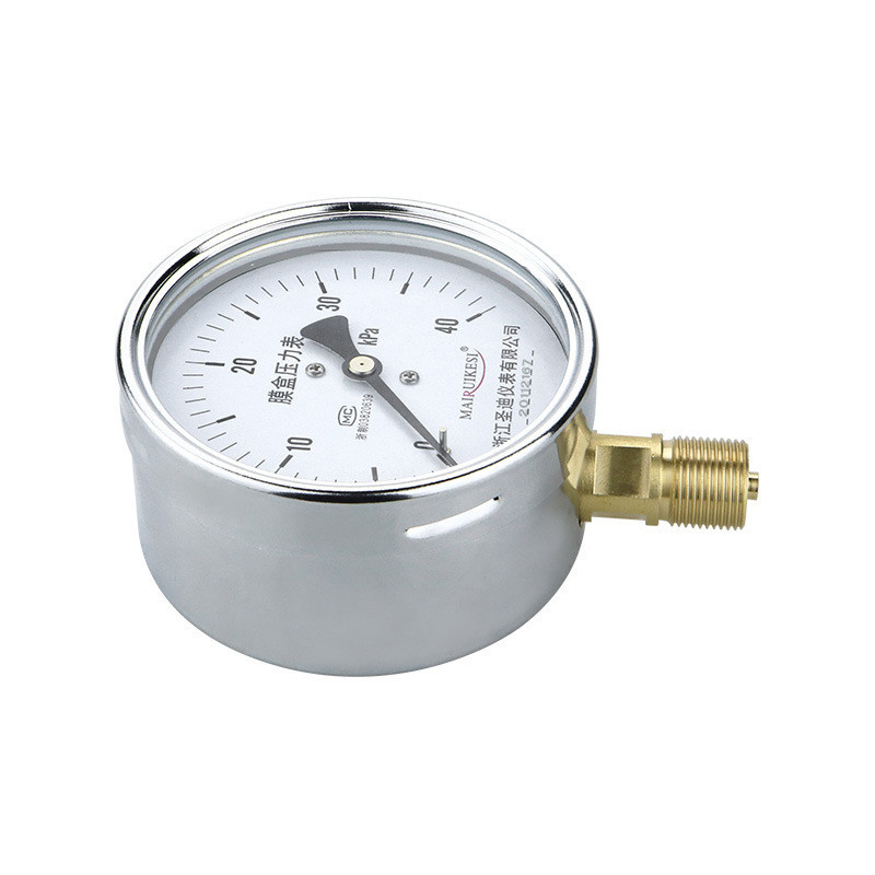 100mm Radial Connected Manometer for Precise Pressure Monitoring in Industrial Settings