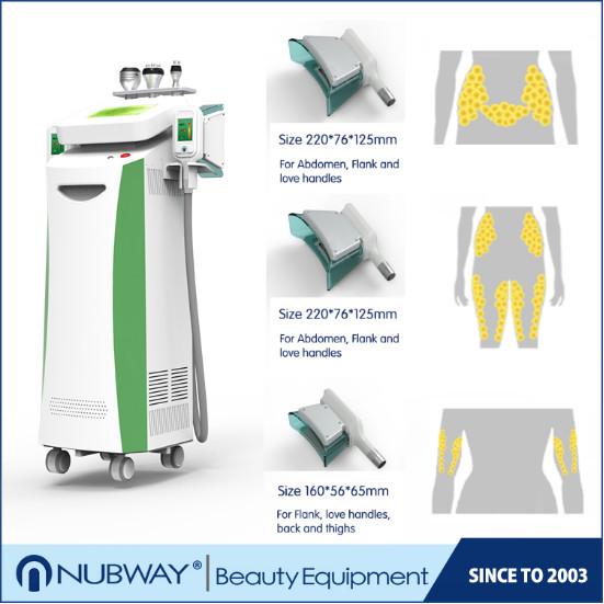 weight loss cryolipolysis equipment,5 handles cryolipolysis body slimming machine,multifunctional Effective painless