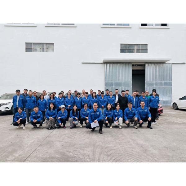 Foshan Shunde District Shengfei Electrical Technology Co., Ltd.