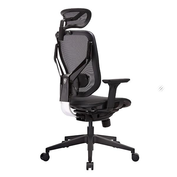 Nylon Base Ergonomic Office Chair 55mm PA Lumbar Support Adjustable Arms