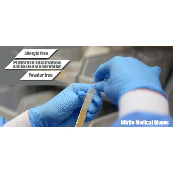 ASTM D6319 Disposable Medical Gloves Nitrile Exam Gloves Powder Free