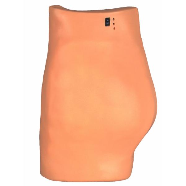 Electronic Intramuscular Injection Buttocks For Medical Schools And Colleges