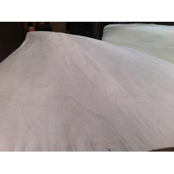 Природный белый лесный фанера из эпола Размер 2440 * 1220 мм Толщина 0,4 мм Для декорации мебели