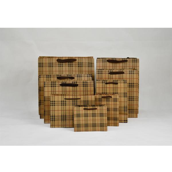 5Kg Weight Capacity Kraft Shopping Paper Bags  Eco Friendly Packaging Recycled