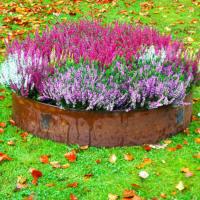Jardim de aço de 3.2FT Corten que afia a afiação oxidada do trajeto de um Corten de 39,3 polegadas de Bunnings