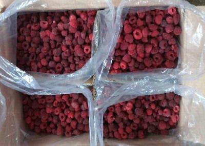 100% Natural IQF Frozen Raspberry IQF Frozen Fruit 24 Hours Services