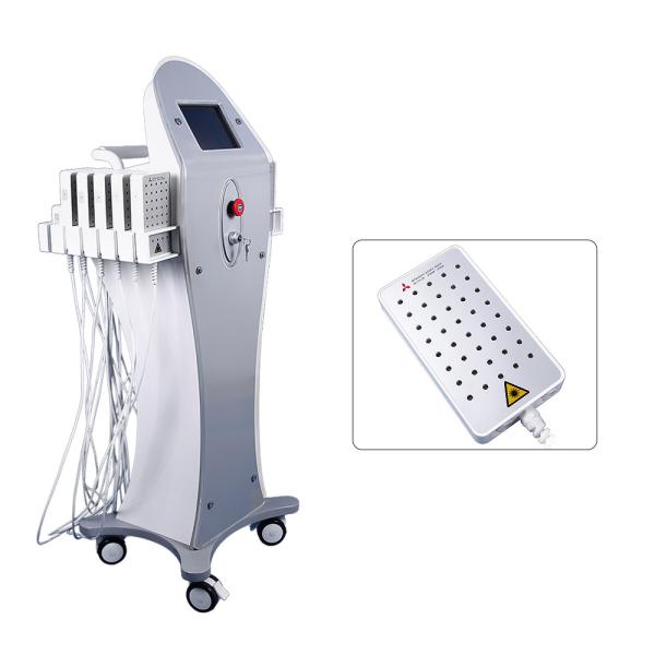 Dual Wavelength 650nm&980nm Best Lipo Laser Machine For Sale With Ce
