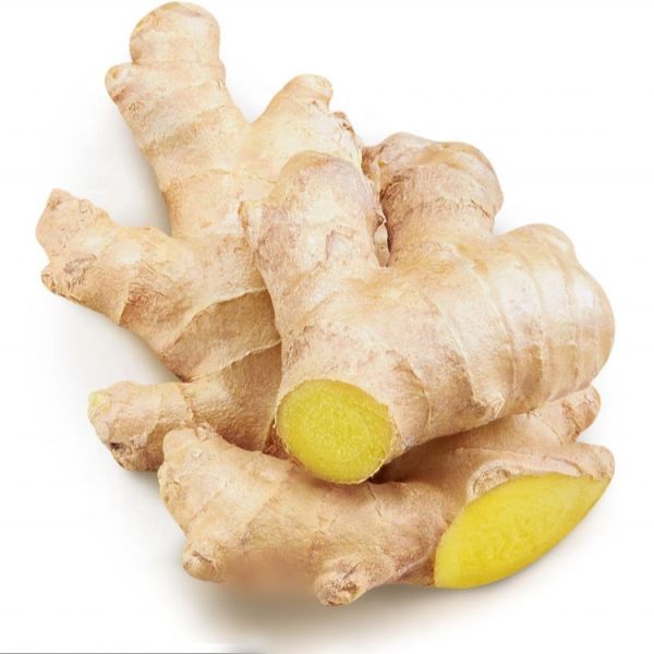 Organic Fresh Ginger Root Naturally Cultivated Economically Priced Cold Storage