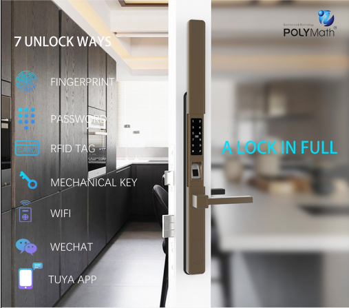 Digital Keyless Waterproof Tuya WiFi App Smart Door Lock Biometric Fingerprint Handle