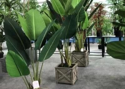 A casa artificial moderna planta o plástico da árvore do viajante do falso da sala de visitas em pasta