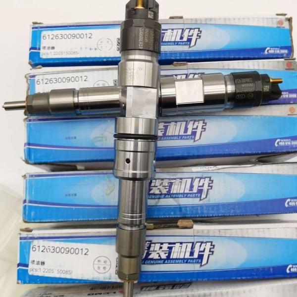 Professional and Sturdy Steel Oil Injector for Howo WP12 WP13 6126300900 Engine