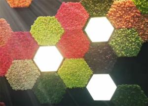 Painéis de parede acústicos do musgo 3d da natureza para a prova do oídio da