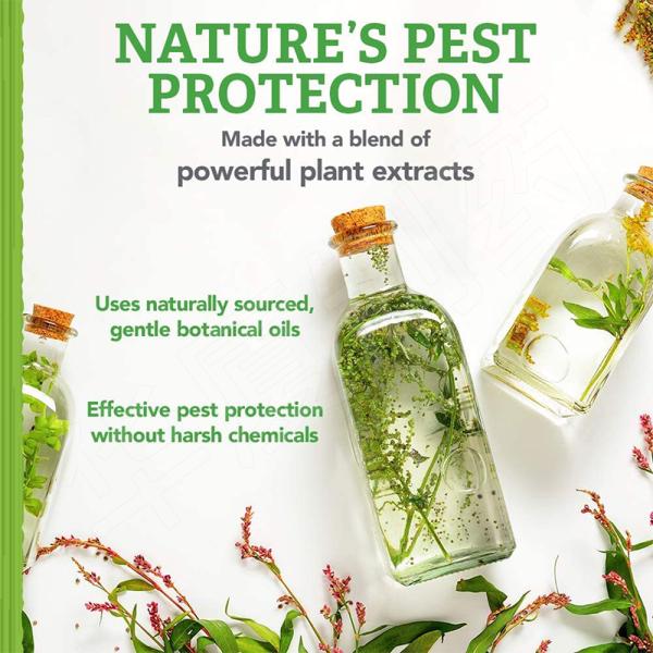 220ML Natural Care Flea And Tick Dog Shampoo Natural Oil