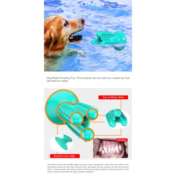 High Quality Dog Chew Toys Cactus Shape Dog Toothbrush Pet Suction Cup Toys For Pet