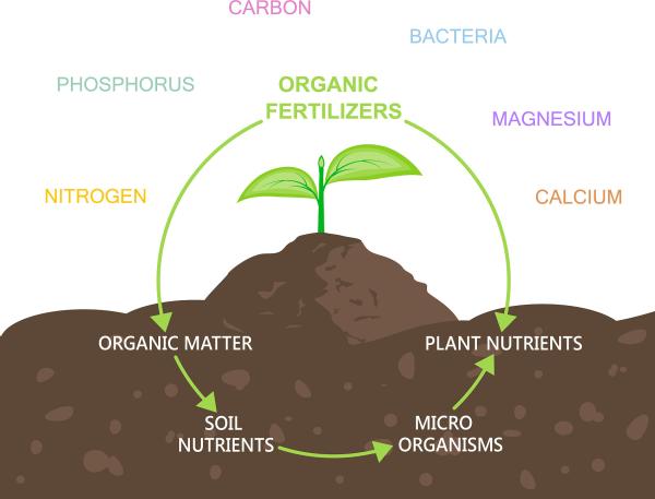 Advanced Oligopeptide & Free Amino Acid Liquid Fertilizer with Multi-Nutrient Support for Crop Health