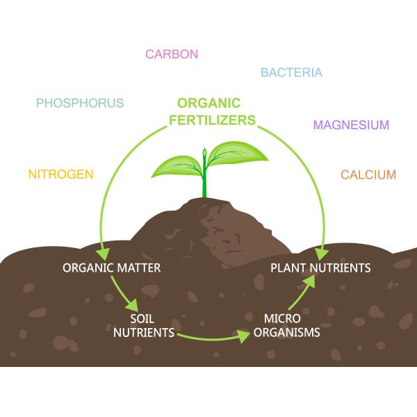 RootForce Plus – High-Efficiency Phosphorus & Potassium Solubilizing Agent with Amino Acid Chelates for Stronger Root Systems