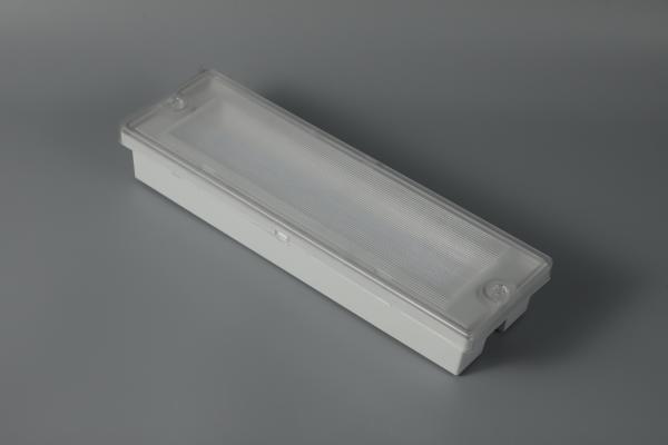 Waterproof Emergency Light IP65 Non-maintained 220-240V 7.5W