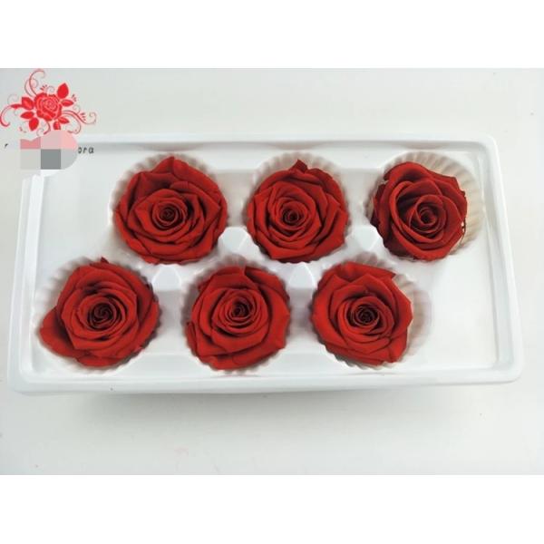 Japanese preserved red rose flowers for wedding flower stands Natural Fresh flower rose