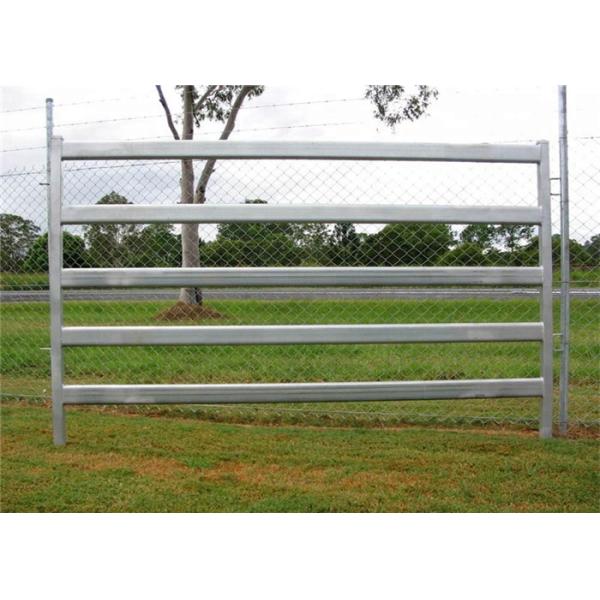 Квадратная загородка загона металла трубы трубки для козы овец свиньи, Эко дружелюбного