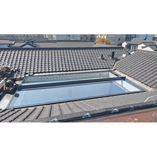 DMS  Large Size Skylight