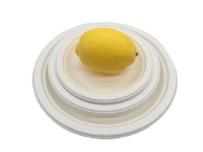 Placas impermeáveis da polpa da cana-de-açúcar dos utensílios de mesa de 12 polegadas