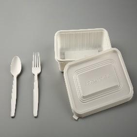 450ml 15oz PLA Tableware With Lid , Biodegradable Disposable Lunch Box 6.9X4.7X1.6