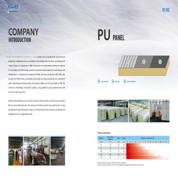 porta da sala fria da estabilidade da resistência química do projeto de Silding das portas do armazenamento frio de 75mm 100mm 120mm 150mm 200mm
