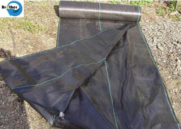 PP Woven Ground Cover Garden PP Woven Weed Barrier Control Mat Landscape Fabric