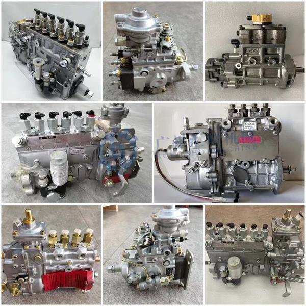 6D114 6CT8.3 Genuine Machinery Engine Crankshaft Engine Diesel Fuel Injection Pump