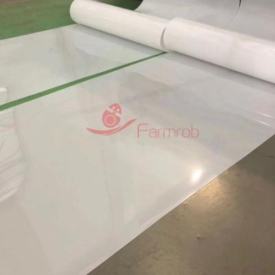 Low Elongation Customizable Manure Removal Belt Long Service Life For Poultry Raising